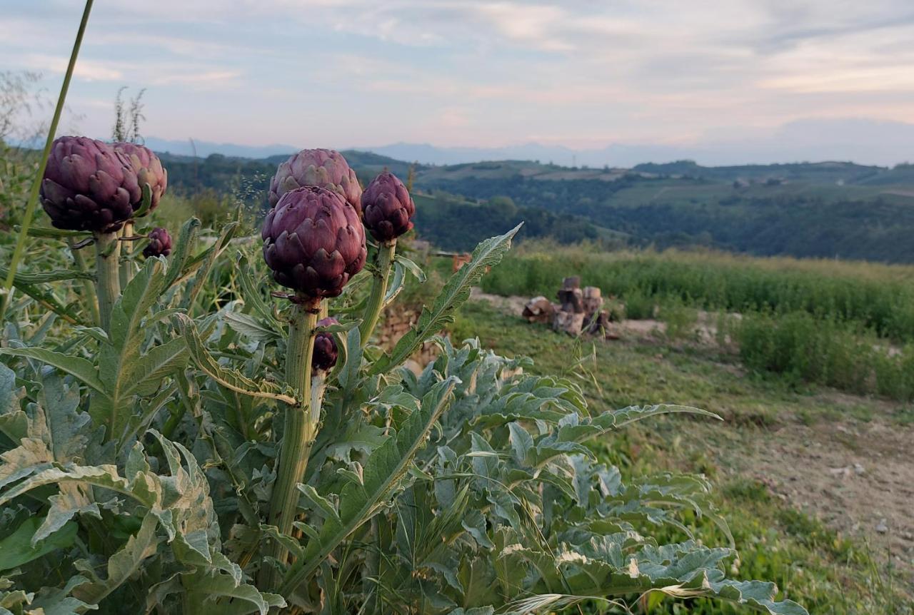 Cascina Nomade - Wine & Scenic Retreat Apartman Dogliani Kültér fotó