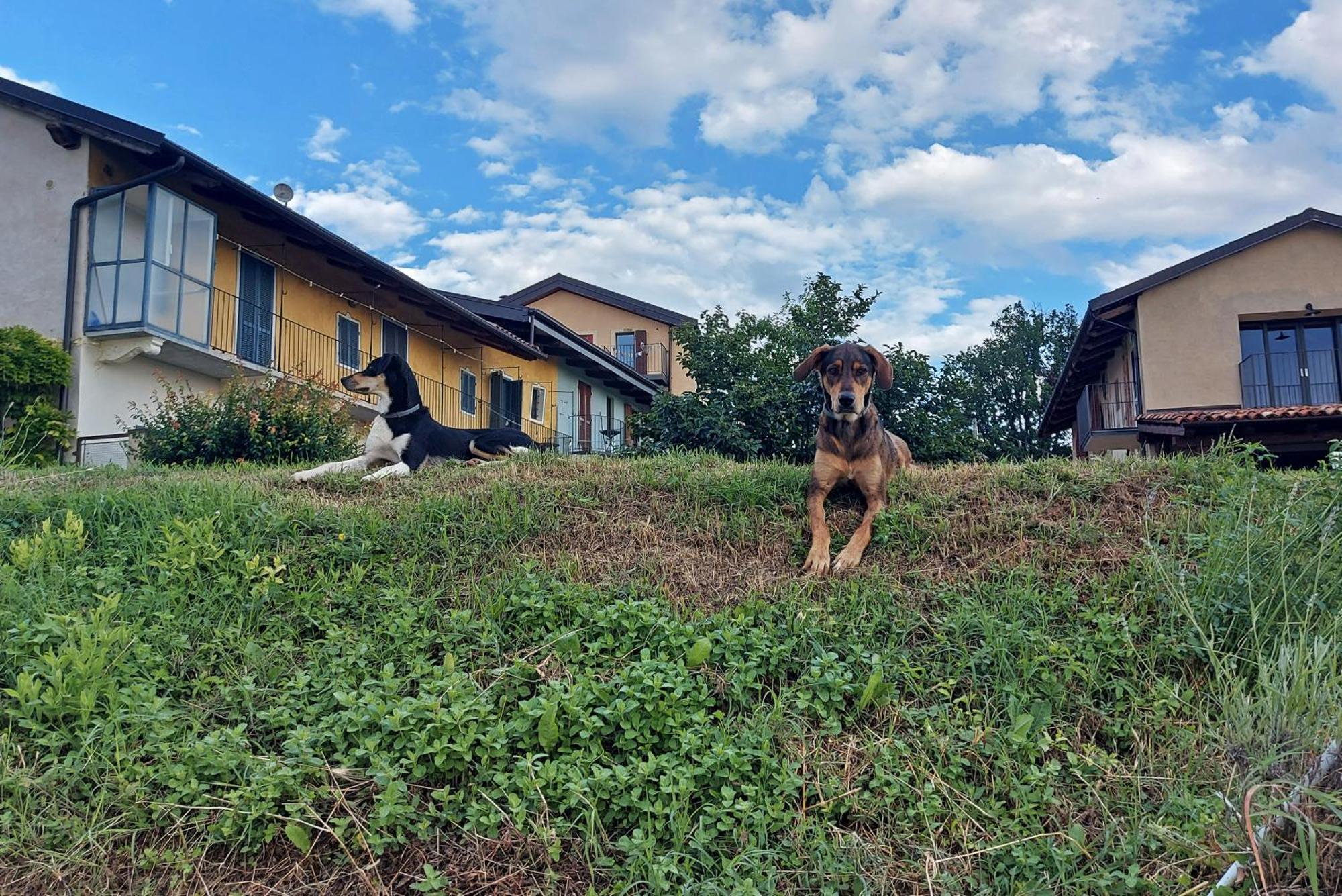 Cascina Nomade - Wine & Scenic Retreat Apartman Dogliani Kültér fotó
