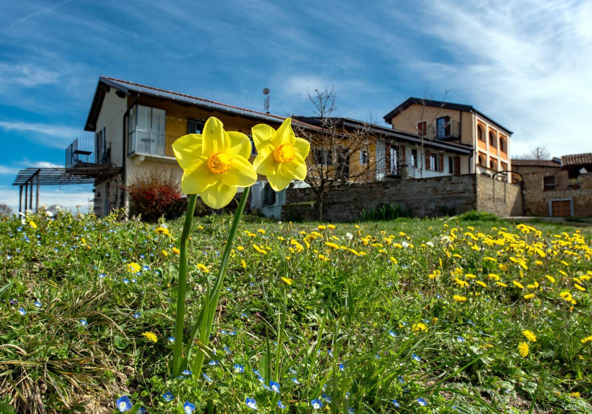Cascina Nomade - Wine & Scenic Retreat Apartman Dogliani Kültér fotó